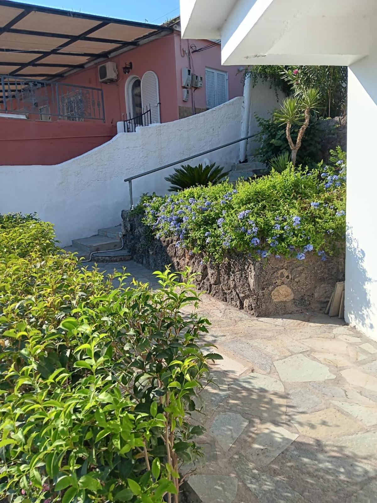 Appartement Bougainvillea Corfu  Εξωτερικό φωτογραφία