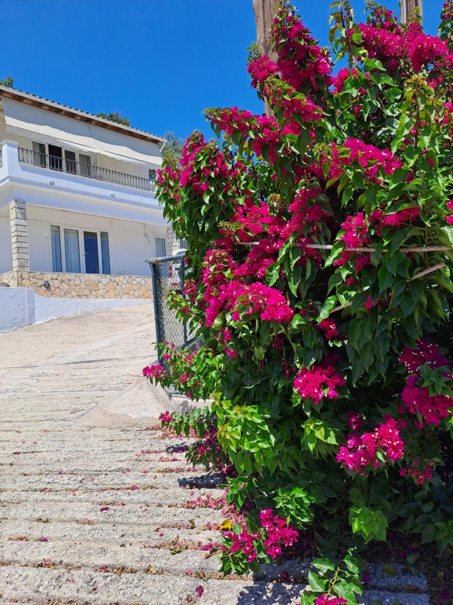 Appartement Bougainvillea Corfu  Εξωτερικό φωτογραφία
