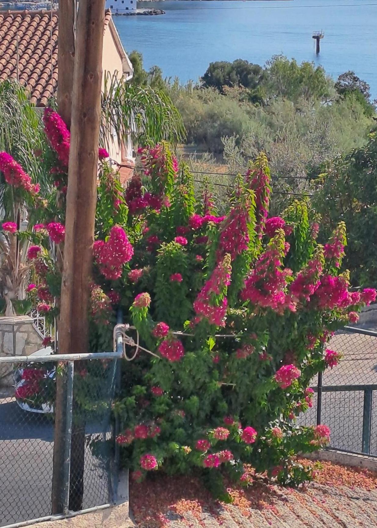 Appartement Bougainvillea Corfu  Εξωτερικό φωτογραφία