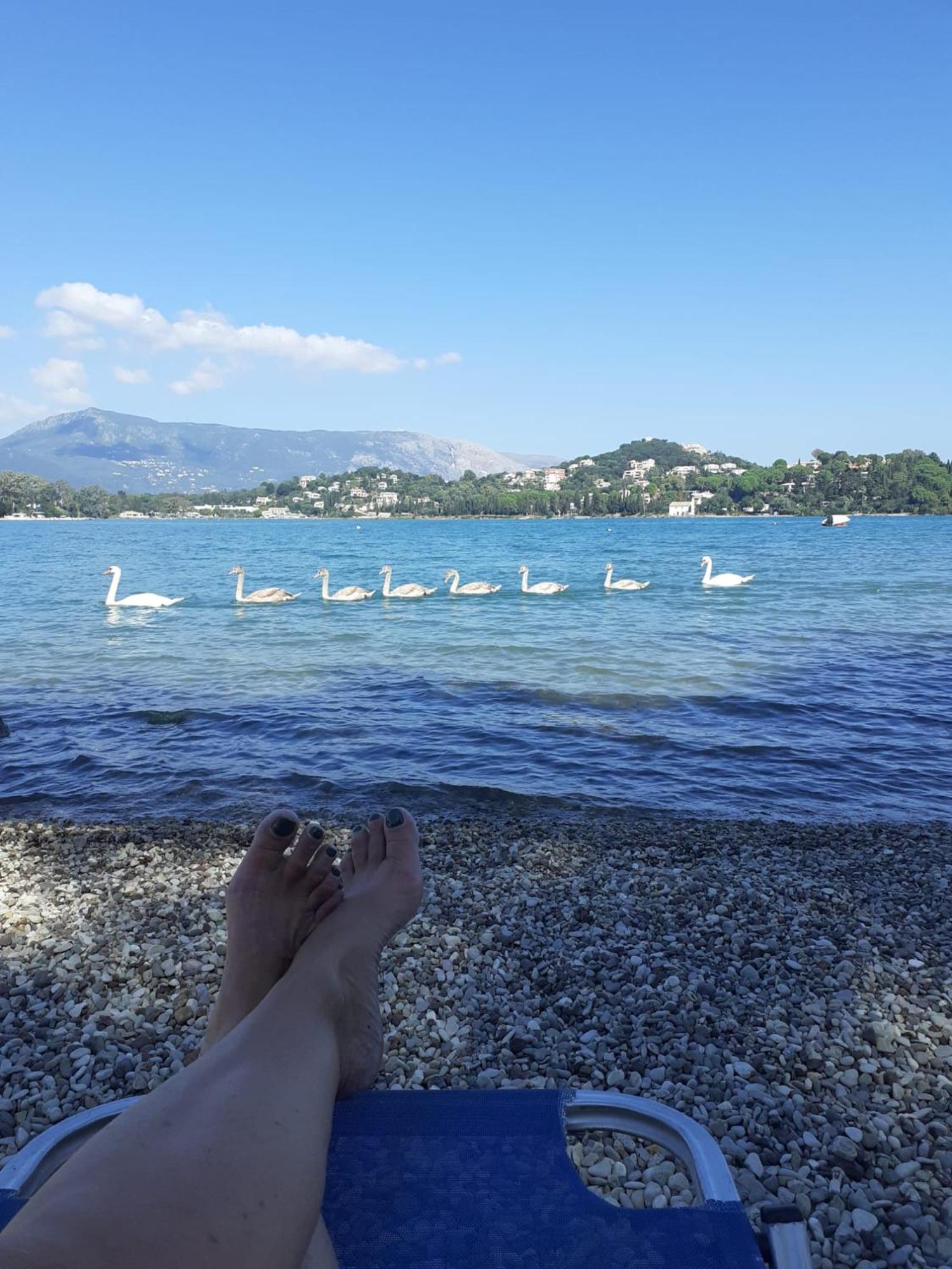 Appartement Bougainvillea Corfu  Εξωτερικό φωτογραφία